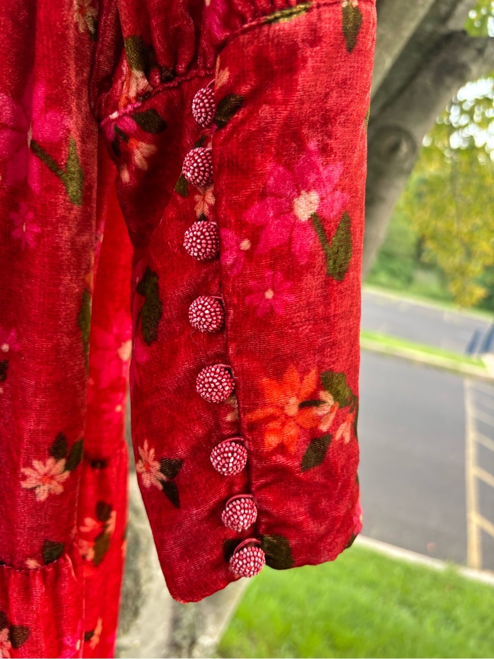FARM Rio Red Floral Velvet Maxi Dress - Picture 6 of 8